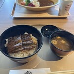 天鰻 - 