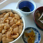 ココ・カピウ - ムラサキウニ丼