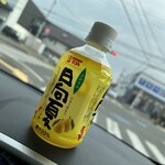 佐土原いろは館 - ドリンク写真: