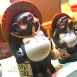 たぬき茶屋 - 夜のたぬきも...(((；ﾟДﾟ))