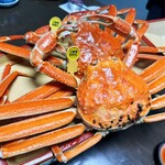 やまちょう - 