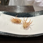 とまつ - 