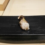 あま木 - とり貝