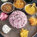 Curry Spice Gelateria KALPASI - 