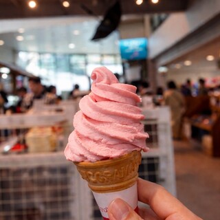 ぎふ金華山ロープウェー売店_0