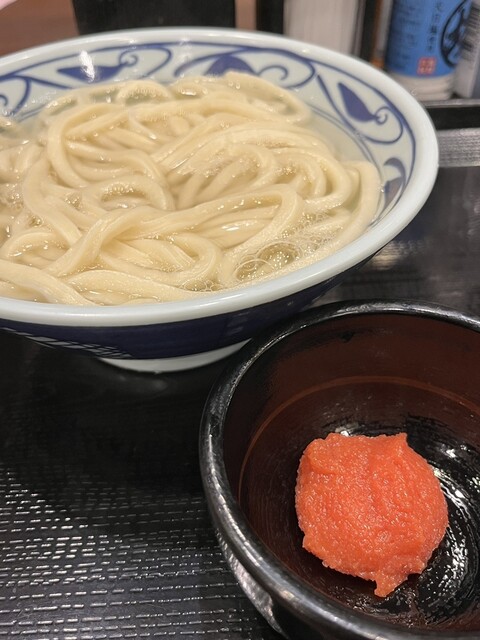 Marugame Seimen Shinjuku mitsui biru ten - Tochomae/Udon (Wheat