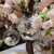 HAUTE COUTURE・CAFE - その他写真:
