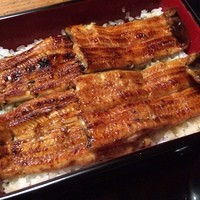 大江戸 南青山店 - 大江戸南青山店(うな重むつき)