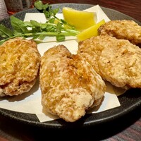 鳥ばか一代 - 