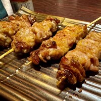 鳥ばか一代 - 