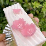 フレーズデボア - さくら利休上から