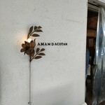 amam dacotan - 