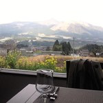 イロナキカゼ - 店内からの風景