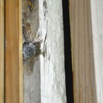 真壁ちなー - 銃弾！