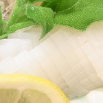 はてなのちゃわん - アオリイカ☆♪