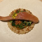 NeMo - 