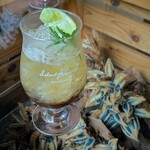 IslandBrewing - ミヤココーラ。ハーブが効いたそれをに、ローズマリーにライムを搾った飲み方、とっても良かったです。旅人の木の種は、鮮やかなコバルトブルー、旅のお守りです。