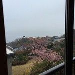 竹林庵みずの - 