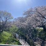 うなぎの兼光 - 料理写真:これは近隣の桜