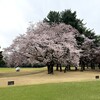 筑波カントリークラブ レストラン - 