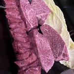 F5 - 