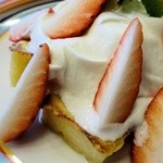 リコプラス - フレンチトースト