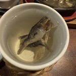 祐天寺 Bob - 