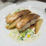 セラフィーノ - イトヨリ鯛のフリットゥーラ