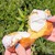 MOU DONUT - 料理写真: