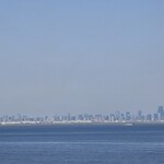 スターバックス・コーヒー - ドリンク写真: