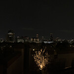 BLUE BIRDS ROOF TOP TERRACE - 