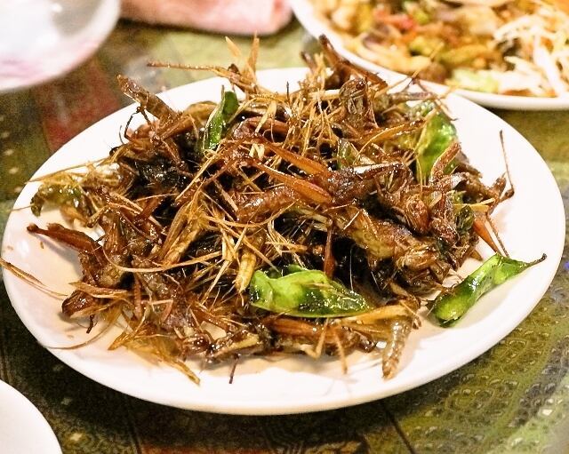 いなかむら 小岩 タイ料理 食べログ