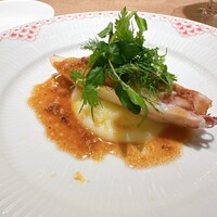 GONIA KURAMAE - 