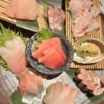 酒の魚 和海 - 