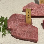 Wagyu Matsushita Kamidoori ten - 