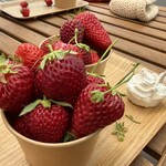 FRUITFUL GARDEN ひのの実 - 
