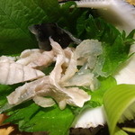 かっぽう寿 - 【河豚ざく】