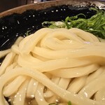 讃岐うどん めりけんや - 料理写真:うどんの麺の表情。