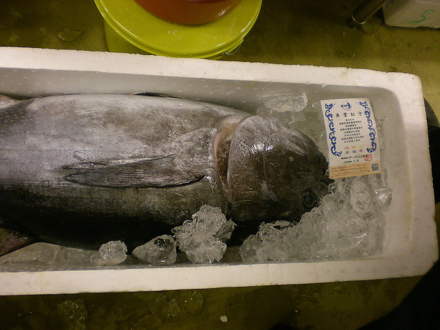 閉店 がってん寿司 横浜青葉台店 恩田 回転寿司 食べログ