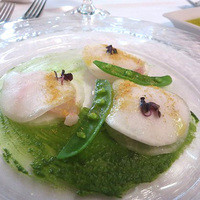 RESTAURANT DAZZLE - 