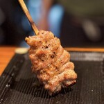 焼鳥 美鶏 - 