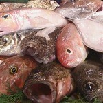 魚料理 沖の瀬 - 