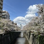 赤身肉じゃんか中目店 - 本日の目黒川の桜