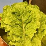 大阪焼肉 うしとみ - 