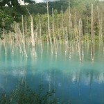 Tokachi Dake Onsen Yumoto Ryou Unkaku - 近くには、青い池！