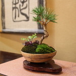 月のうさぎ - イイですね☆