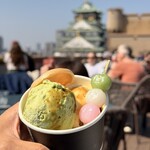BLUE BIRDS ROOF TOP TERRACE - 