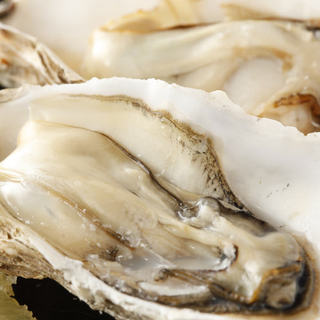 新鮮な大ぶりの牡蠣！生、焼、蒸。どれでも１ヶで460円！