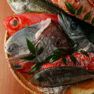 【毎朝獲れたて漁港直送の鮮魚】鮮度に自信！旬の鮮魚を堪能