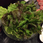 美松 - サニーレタス